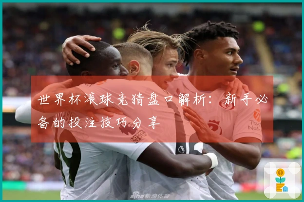 世界杯滚球竞猜盘口解析：新手必备的投注技巧分享