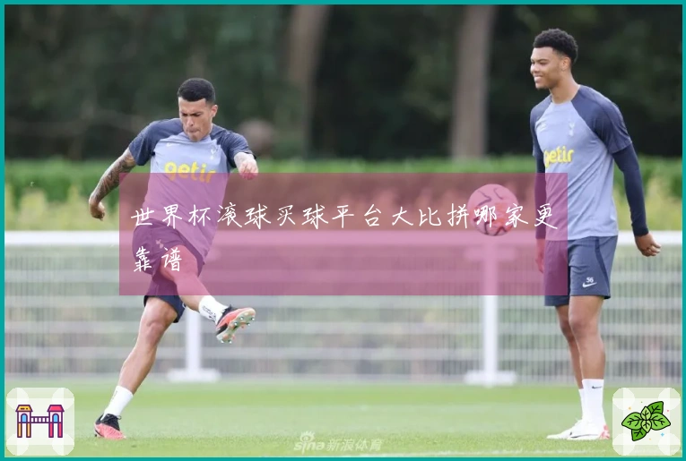 世界杯滚球买球平台大比拼哪家更靠谱