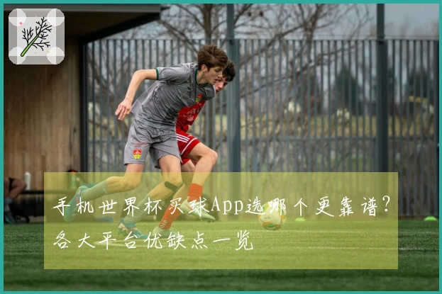 手机世界杯买球App选哪个更靠谱？各大平台优缺点一览