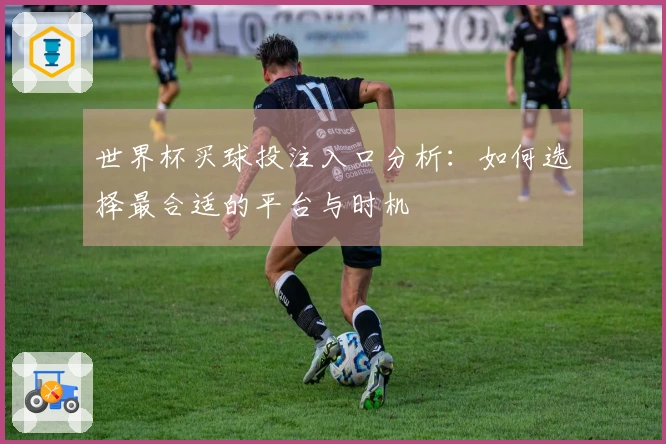世界杯买球投注入口分析：如何选择最合适的平台与时机