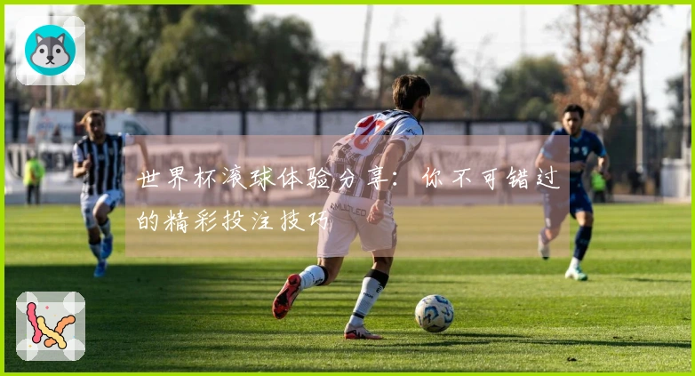 世界杯滚球体验分享：你不可错过的精彩投注技巧