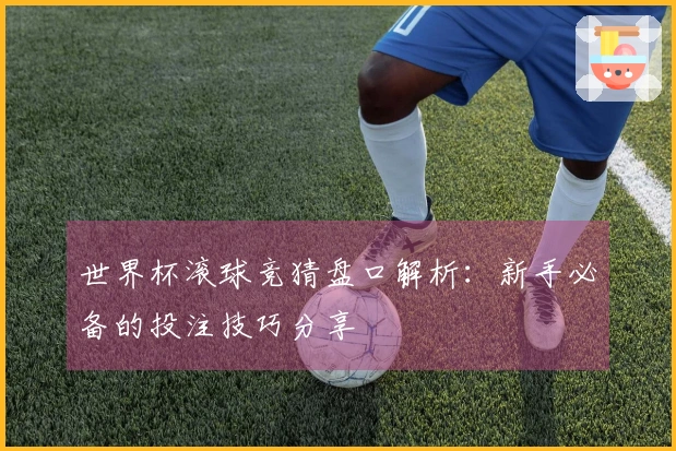 世界杯滚球竞猜盘口解析：新手必备的投注技巧分享