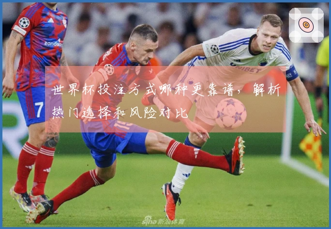 世界杯投注方式哪种更靠谱，解析热门选择和风险对比