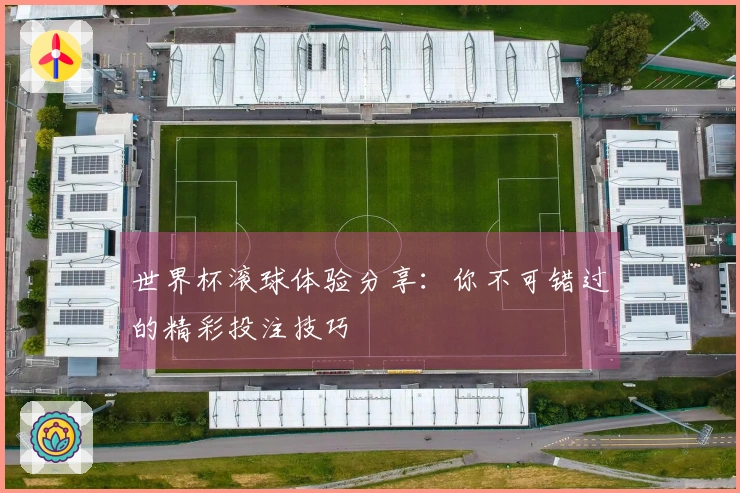 世界杯滚球体验分享：你不可错过的精彩投注技巧