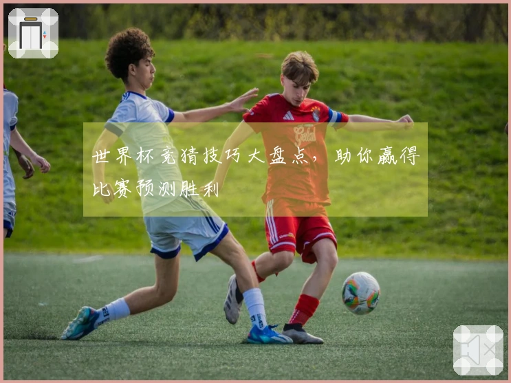 世界杯竞猜技巧大盘点，助你赢得比赛预测胜利